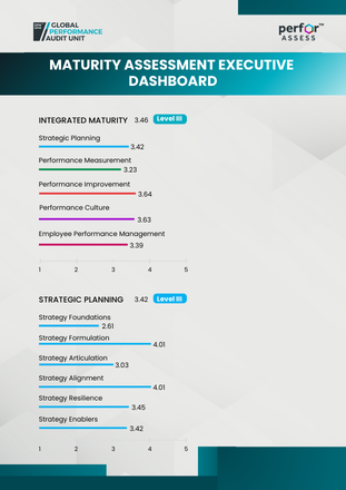 Maturity Assessment Executive Dashboard
